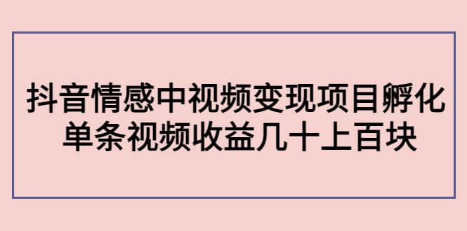 抖音情感中视频变现项目孵化-小二项目网