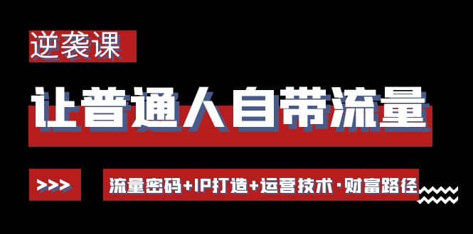 让普通人自带流量的逆袭课：流量密码 IP打造 运营技术·财富路径-小二项目网