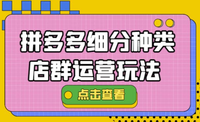 拼多多细分种类店群运营玩法3.0，11月最新玩法，小白也可以操作-小二项目网