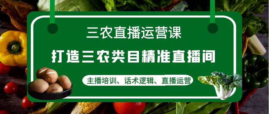 三农直播运营课：打造三农类目精准直播间，主播培训、话术逻辑、直播运营-小二项目网