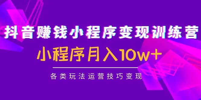 抖音小程序变现训练营：小程序各类玩法运营技巧变现-小二项目网