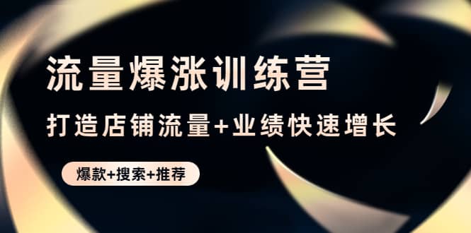 流量爆涨训练营：打造店铺流量 业绩快速增长 (爆款 搜索 推荐)-小二项目网