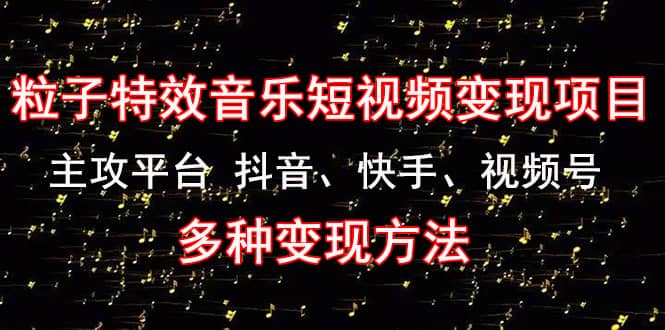 《粒子特效音乐短视频变现项目》主攻平台 抖音、快手、视频号 多种变现方法-小二项目网