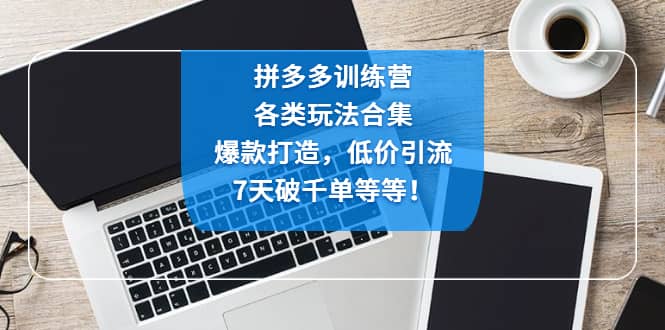 拼多多训练营：各玩法合集，爆款打造，低价引流，7天破千单等等-小二项目网