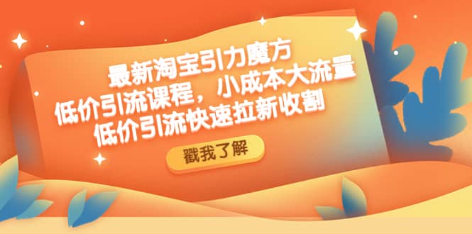 最新淘宝引力魔方低价引流实操：小成本大流量-小二项目网