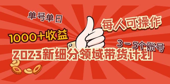 2023新细分领域带货计划：单号单日1000 收益不难，每人可操作3-5个账号-小二项目网