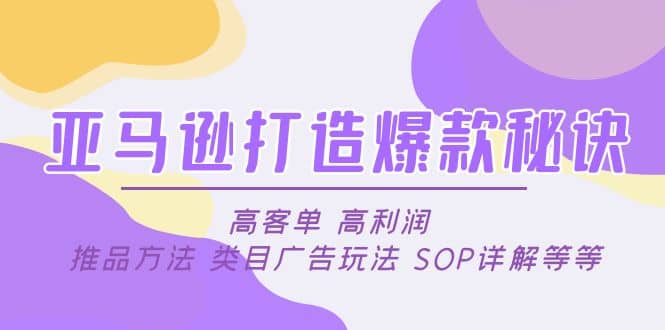 亚马逊打造爆款秘诀：高客单 高利润 推品方法 类目广告玩法 SOP详解等等-小二项目网