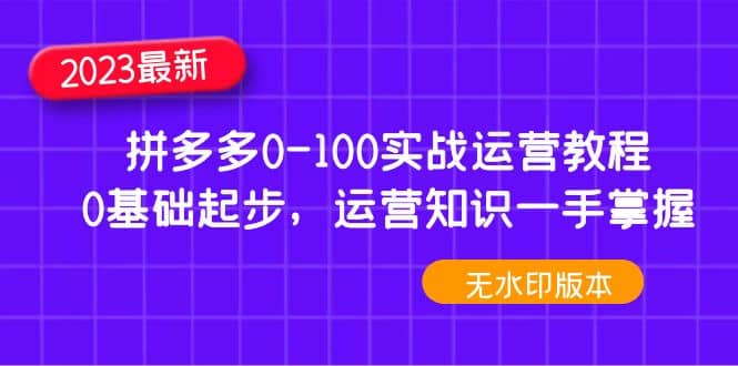 2023拼多多0-100实战运营教程，0基础起步，运营知识一手掌握（无水印）-小二项目网