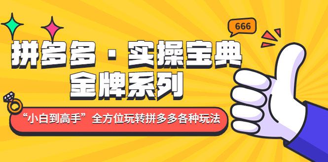 拼多多·实操宝典：金牌系列“小白到高手”带你全方位玩转拼多多各种玩法-小二项目网