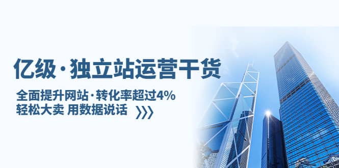 独立站运营干货：全面提升网站·转化率超过4%，轻松大卖 用数据说话-小二项目网