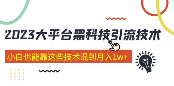 价值4899的2023大平台黑科技引流技术 29节课-小二项目网