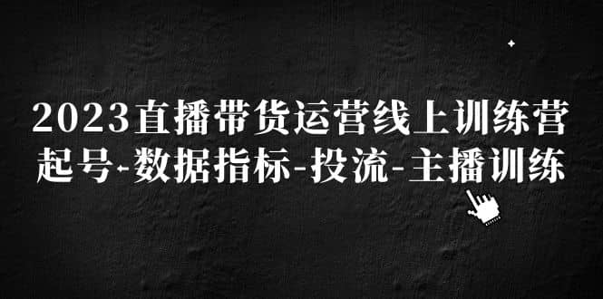 2023直播带货运营线上训练营，起号-数据指标-投流-主播训练-小二项目网