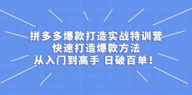 拼多多爆款打造实战特训营：快速打造爆款方法，从入门到高手 日破百单-小二项目网