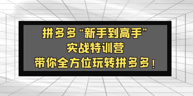 拼多多“新手到高手”实战特训营：带你全方位玩转拼多多-小二项目网