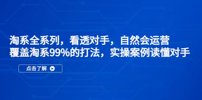 淘系全系列，看透对手，自然会运营，覆盖淘系99%·打法，实操案例读懂对手-小二项目网