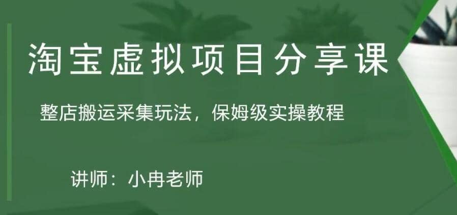 淘宝虚拟整店搬运采集玩法分享课：整店搬运采集玩法，保姆级实操教程-小二项目网