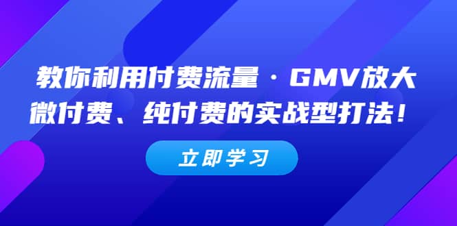 教你利用付费流量·GMV放大，微付费、纯付费的实战型打法-小二项目网