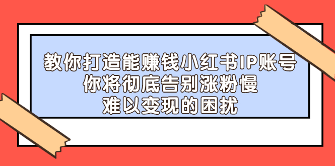 教你打造能赚钱小红书IP账号，了解透彻小红书的真正玩法-小二项目网