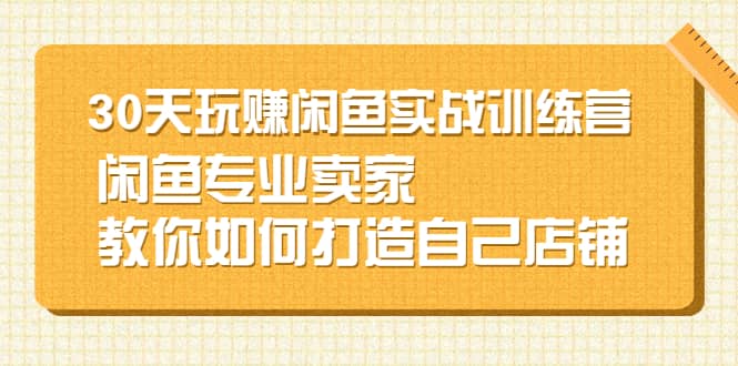 30天玩赚闲鱼实战训练营，闲鱼专业卖家教你如何打造自己店铺-小二项目网