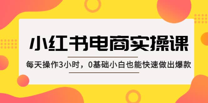 小红书·电商实操课：每天操作3小时，0基础小白也能快速做出爆款-小二项目网