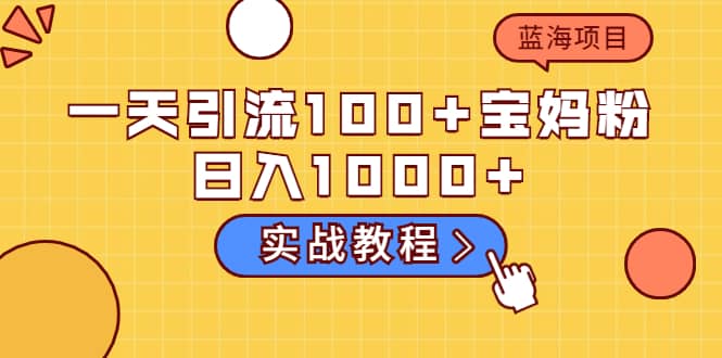 一天引流100 宝妈粉，日入1000 的蓝海项目（实战教程）-小二项目网