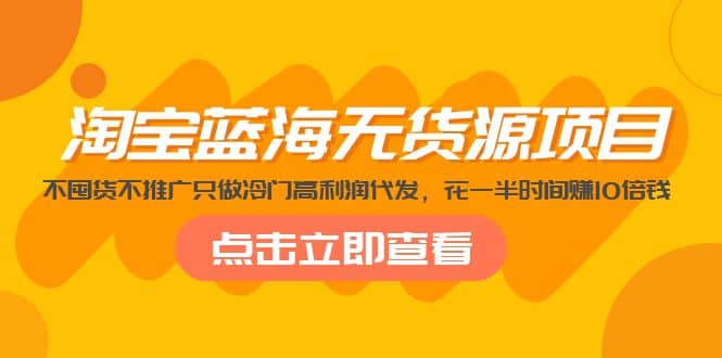 淘宝蓝海无货源项目，不囤货不推广只做冷门高利润代发-小二项目网