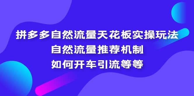 拼多多自然流量天花板实操玩法：自然流量推荐机制，如何开车引流等等-小二项目网