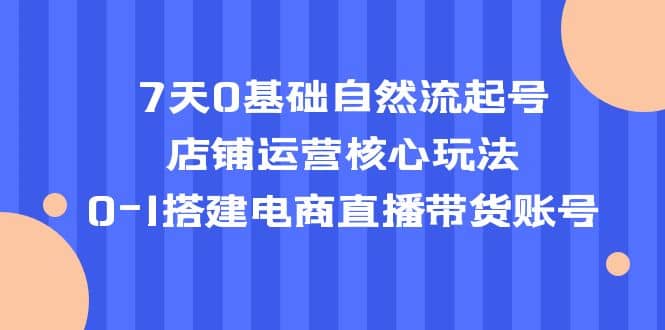 7天0基础自然流起号，店铺运营核心玩法，0-1搭建电商直播带货账号-小二项目网