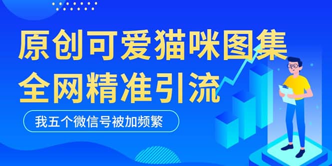 黑科技纯原创可爱猫咪图片，全网精准引流，实操5个VX号被加频繁-小二项目网