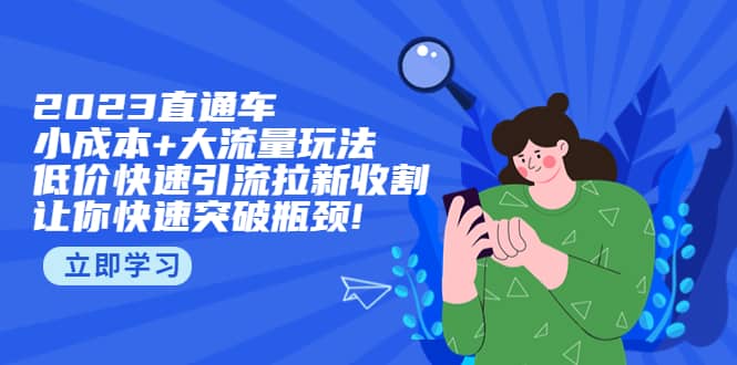 2023直通小成本 大流量玩法，低价快速引流拉新收割，让你快速突破瓶颈-小二项目网