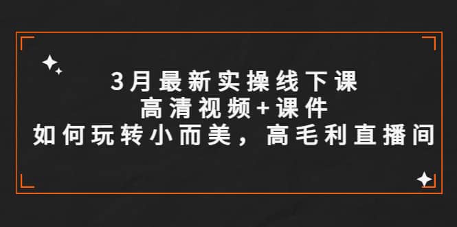 3月最新实操线下课高清视频 课件，如何玩转小而美，高毛利直播间-小二项目网