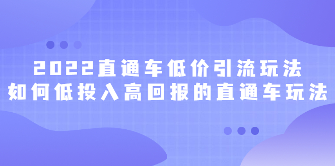 2022直通车低价引流玩法，教大家如何低投入高回报的直通车玩法-小二项目网