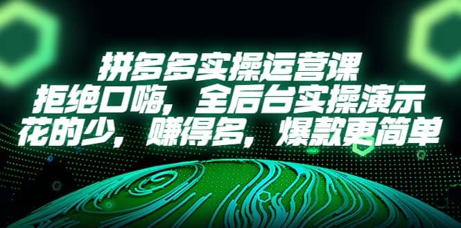 拼多多实操运营课：拒绝口嗨，全后台实操演示，花的少，赚得多，爆款更简单-小二项目网