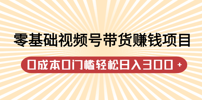 零基础视频号带货赚钱项目，0成本0门槛轻松日入300 【视频教程】-小二项目网