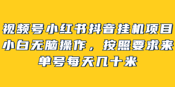 视频号小红书抖音挂机项目，小白无脑操作，按照要求来，单号每天几十米-小二项目网