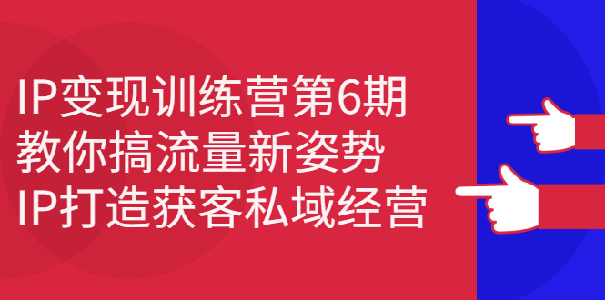 IP变现训练营第6期：教你搞流量新姿势，IP打造获客私域经营-小二项目网