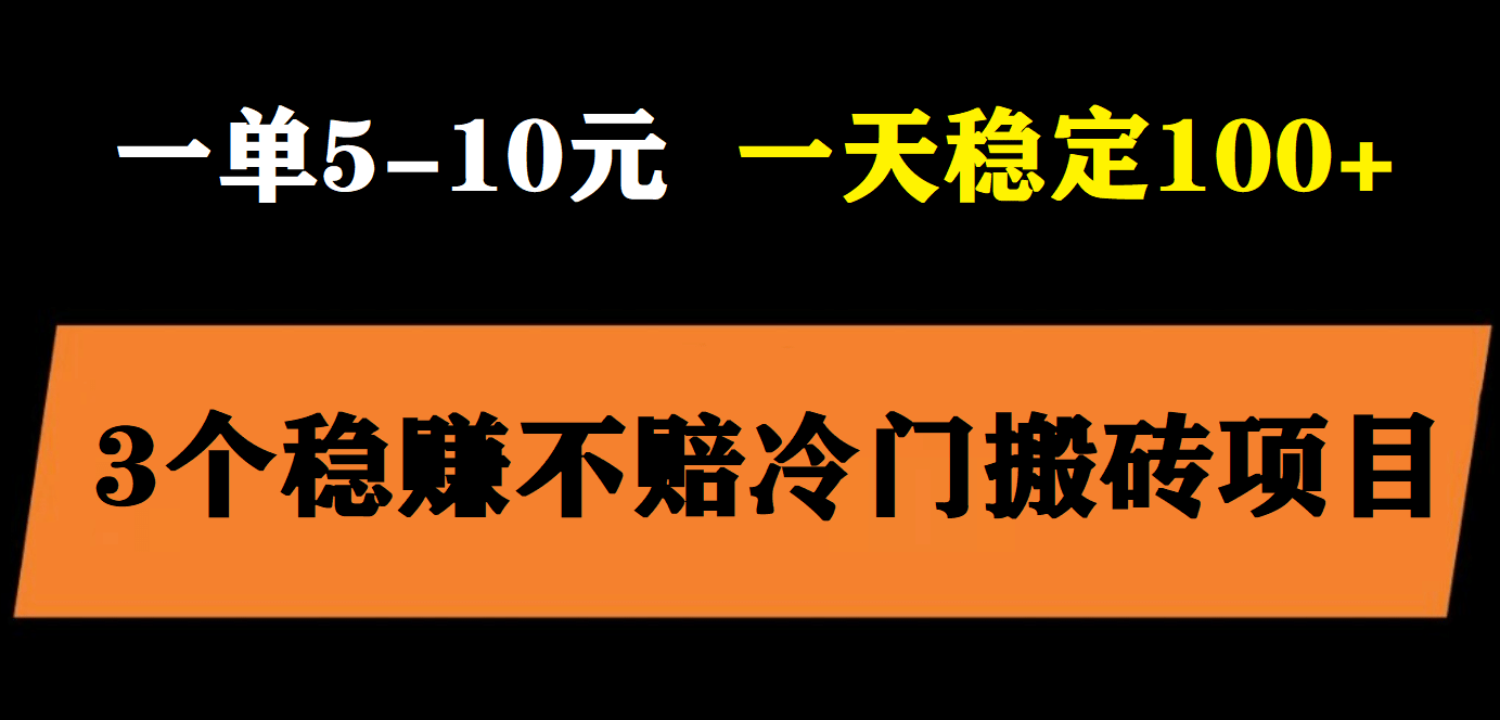 3个最新稳定的冷门搬砖项目，小白无脑照抄当日变现日入过百-小二项目网