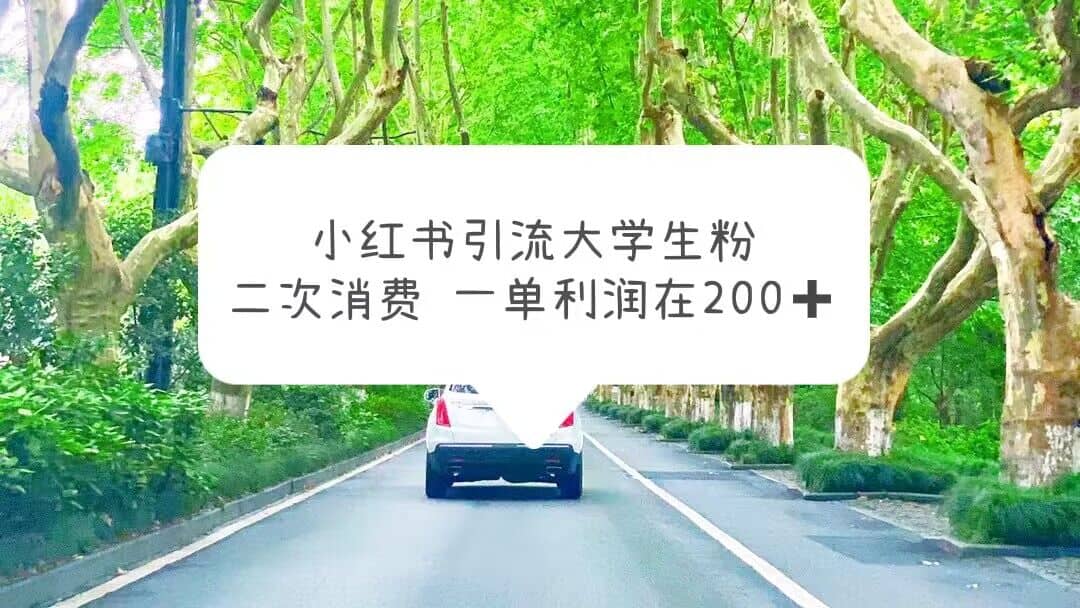 小红书引流大学生粉，变现项目，一单利润在200 （教程 资源）-小二项目网