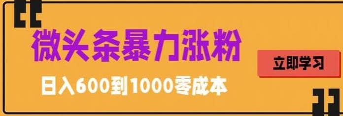 微头条暴力涨粉技巧搬运文案就能涨几万粉丝，简单0成本，日赚600-小二项目网