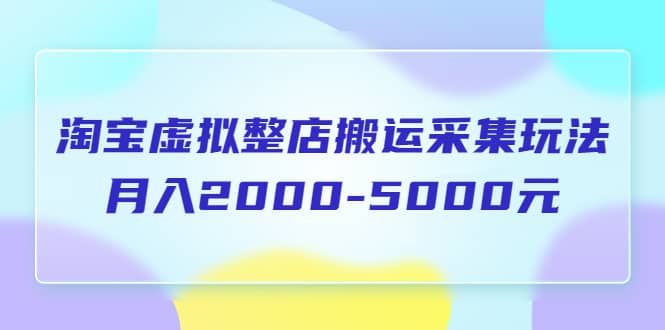 淘宝虚拟整店搬运采集玩法分享课：月入2000-5000元（5节课）-小二项目网