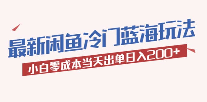 2023最新闲鱼冷门蓝海玩法，小白零成本当天出单日入200-小二项目网