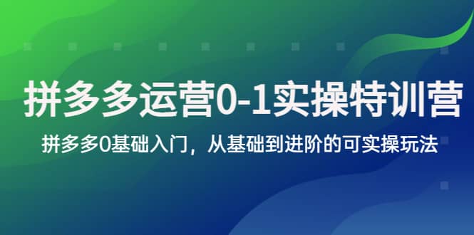 拼多多-运营0-1实操训练营，拼多多0基础入门，从基础到进阶的可实操玩法-小二项目网