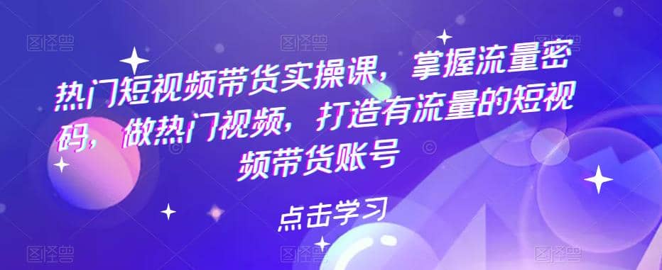 热门短视频带货实战 掌握流量密码 做热门视频 打造有流量的短视频带货账号-小二项目网