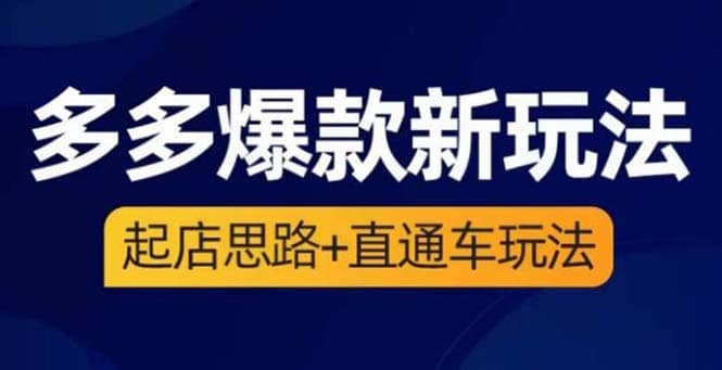 2023拼多多爆款·新玩法：起店思路 直通车玩法（3节精华课）-小二项目网