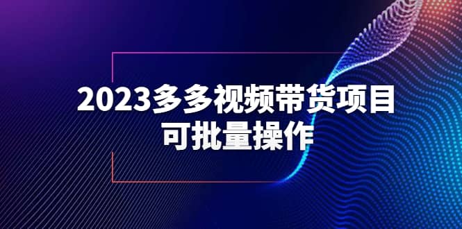 2023多多视频带货项目，可批量操作【保姆级教学】-小二项目网