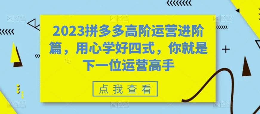 2023拼多多高阶运营进阶篇，用心学好四式，你就是下一位运营高手-小二项目网