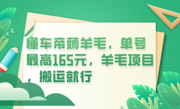 懂车帝薅羊毛，单号最高165元，羊毛项目，搬运就行-小二项目网