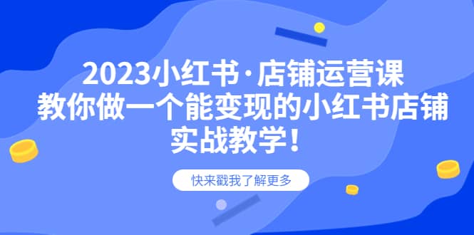 2023小红书·店铺运营课，教你做一个能变现的小红书店铺，20节-实战教学-小二项目网