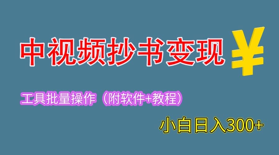 2023中视频抄书变现（附工具 教程），一天300 ，特别适合新手操作的副业-小二项目网