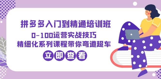 2023拼多多入门到精通培训班：0-100运营实战技巧 精细化系列课带你弯道超车-小二项目网